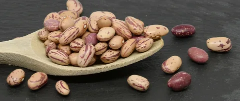 تصویر 2 از لوبیا چیتی لرستان بسته ‌بندی حرفه ‌ای